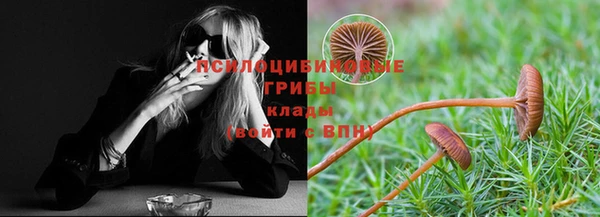 a pvp Бородино