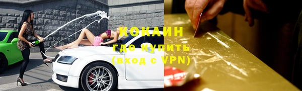 a pvp Бородино