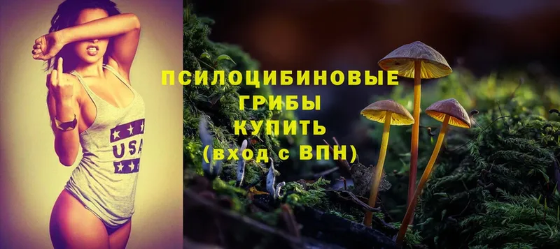 МЕГА вход  Вяземский  Галлюциногенные грибы MAGIC MUSHROOMS  наркошоп 